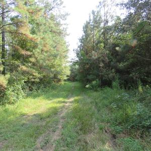 Photo #5 of Off NC HWY 130, Orrum, NC 40.8 acres