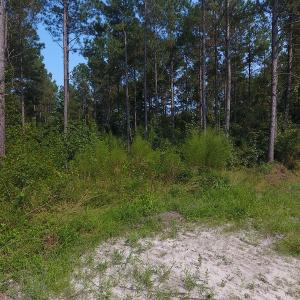 Photo #7 of Off NC HWY 130, Orrum, NC 40.8 acres