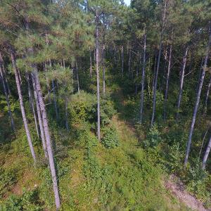 Photo #8 of Off NC HWY 130, Orrum, NC 40.8 acres