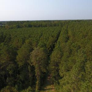 Photo #9 of Off NC HWY 130, Orrum, NC 40.8 acres