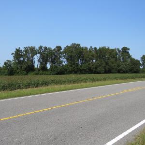 Photo #13 of SOLD property in 17202 Hwy NC 130, Orrum, NC 27.0 acres