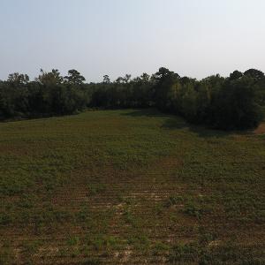 Photo #3 of SOLD property in 17202 Hwy NC 130, Orrum, NC 27.0 acres