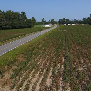 Photo #5 of SOLD property in 17202 Hwy NC 130, Orrum, NC 27.0 acres