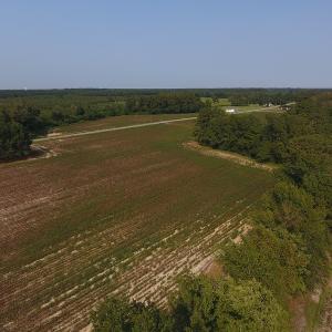 Photo #7 of SOLD property in 17202 Hwy NC 130, Orrum, NC 27.0 acres