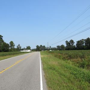 Photo #8 of SOLD property in 17202 Hwy NC 130, Orrum, NC 27.0 acres
