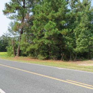 Photo #7 of SOLD property in Off Collins Drive, Lumberton, NC 15.0 acres