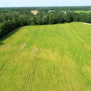 Photo #9 of SOLD property in Off Collins Drive, Lumberton, NC 15.0 acres