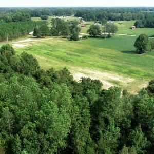 Photo #12 of SOLD property in Off Collins Drive and Birtie Road, Lumberton, NC 28.5 acres