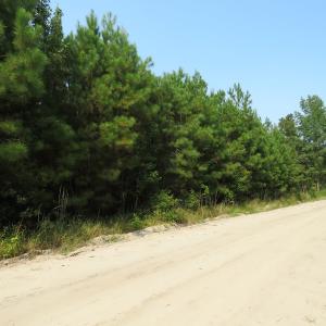 Photo #7 of SOLD property in Off Collins Drive and Birtie Road, Lumberton, NC 28.5 acres