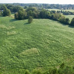 Photo #10 of SOLD property in Off Rose Drive, Lawrenceville, VA 3.5 acres