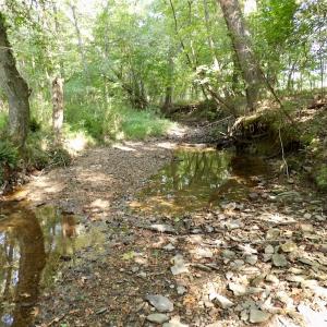 Photo #13 of SOLD property in Off Rose Drive, Lawrenceville, VA 3.5 acres