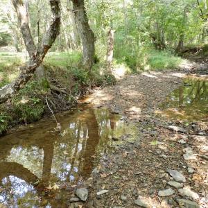 Photo #14 of SOLD property in Off Rose Drive, Lawrenceville, VA 3.5 acres