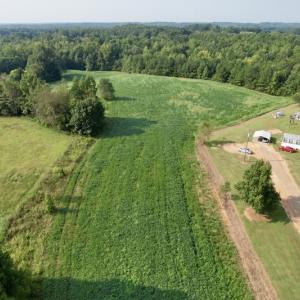 Photo #4 of SOLD property in Off Rose Drive, Lawrenceville, VA 3.5 acres