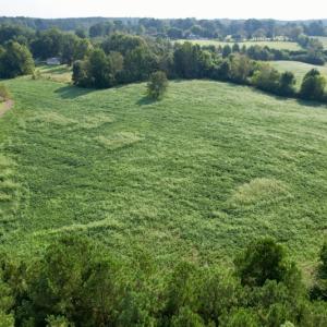 Photo #9 of SOLD property in Off Rose Drive, Lawrenceville, VA 3.5 acres