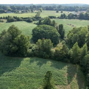 Photo #10 of SOLD property in Off Strawberry Drive, Lawrenceville, VA 20.0 acres