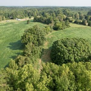 Photo #11 of SOLD property in Off Strawberry Drive, Lawrenceville, VA 20.0 acres