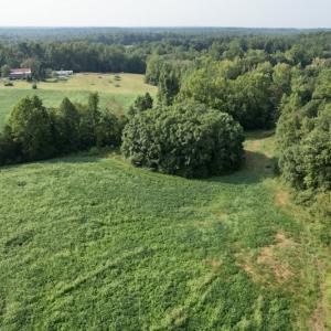 Photo #18 of SOLD property in Off Strawberry Drive, Lawrenceville, VA 20.0 acres