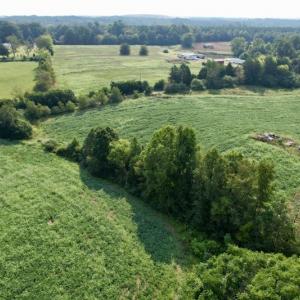Photo #20 of SOLD property in Off Strawberry Drive, Lawrenceville, VA 20.0 acres