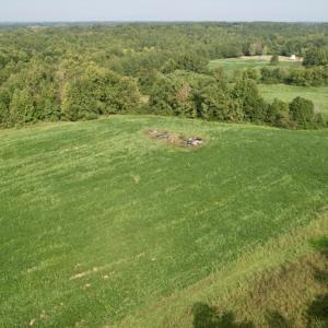 Photo #25 of SOLD property in Off Strawberry Drive, Lawrenceville, VA 20.0 acres