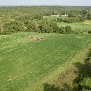 Photo #26 of SOLD property in Off Strawberry Drive, Lawrenceville, VA 20.0 acres