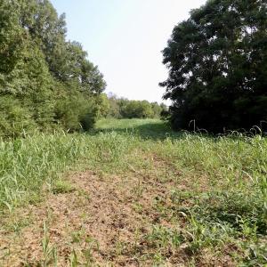 Photo #37 of SOLD property in Off Strawberry Drive, Lawrenceville, VA 20.0 acres