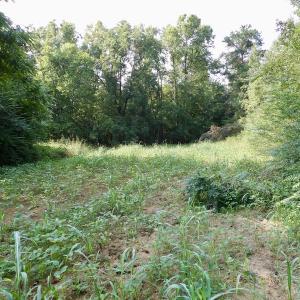 Photo #38 of SOLD property in Off Strawberry Drive, Lawrenceville, VA 20.0 acres