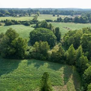 Photo #6 of SOLD property in Off Strawberry Drive, Lawrenceville, VA 20.0 acres