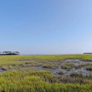 Photo #3 of SOLD property in 1275 Jacks Circle, North Myrtle Beach, SC 0.4 acres
