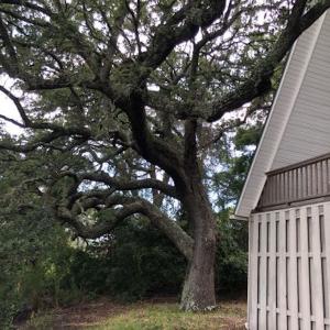 Photo #10 of SOLD property in 1275 Jacks Circle, North Myrtle Beach, SC 0.4 acres