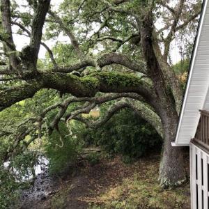 Photo #12 of SOLD property in 1275 Jacks Circle, North Myrtle Beach, SC 0.4 acres