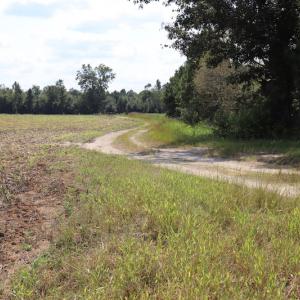 Photo #20 of SOLD property in Off Old Dover Road, Dover, NC 52.5 acres