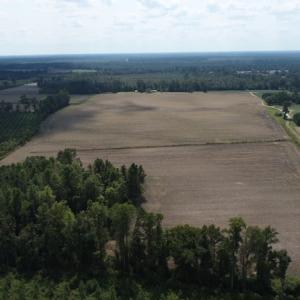 Photo #6 of SOLD property in Off Old Dover Road, Dover, NC 52.5 acres
