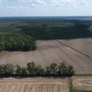 Photo #7 of SOLD property in Off Old Dover Road, Dover, NC 52.5 acres