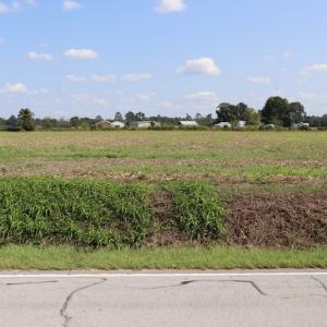 Photo #9 of SOLD property in Off Dover Ft. Barnwell Road, Dover, NC 3.2 acres