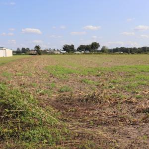Photo #13 of SOLD property in Off Dover Ft. Barnwell Road, Dover, NC 3.2 acres