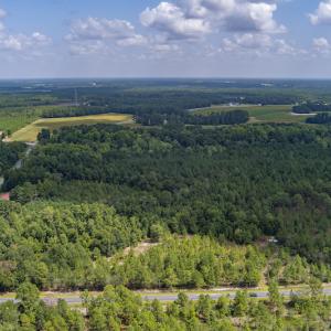 Photo #10 of SOLD property in Off Scronce Road  , Harrells, NC 10.5 acres