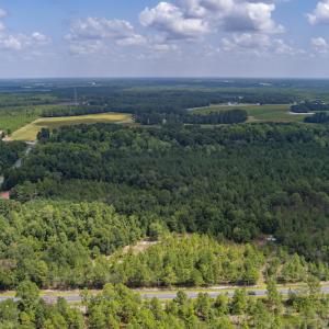 Photo #10 of SOLD property in Off Scronce Road  , Harrells, NC 10.5 acres