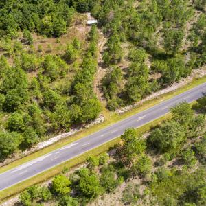 Photo #12 of SOLD property in Off Scronce Road  , Harrells, NC 10.5 acres