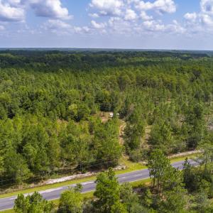 Photo #13 of SOLD property in Off Scronce Road  , Harrells, NC 10.5 acres