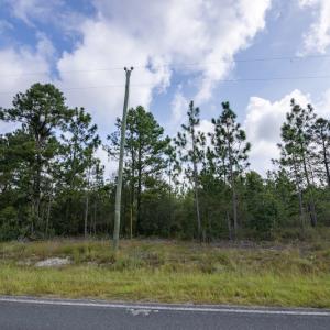 Photo #23 of SOLD property in Off Scronce Road  , Harrells, NC 10.5 acres
