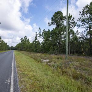 Photo #24 of SOLD property in Off Scronce Road  , Harrells, NC 10.5 acres