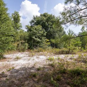 Photo #25 of SOLD property in Off Scronce Road  , Harrells, NC 10.5 acres