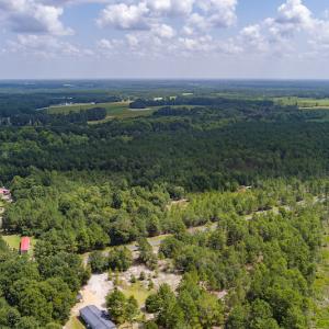 Photo #3 of SOLD property in Off Scronce Road  , Harrells, NC 10.5 acres