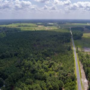 Photo #5 of SOLD property in Off Scronce Road  , Harrells, NC 10.5 acres