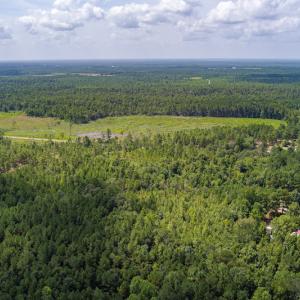 Photo #6 of SOLD property in Off Scronce Road  , Harrells, NC 10.5 acres
