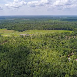 Photo #6 of SOLD property in Off Scronce Road  , Harrells, NC 10.5 acres