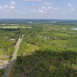Photo #8 of SOLD property in Off Scronce Road  , Harrells, NC 10.5 acres