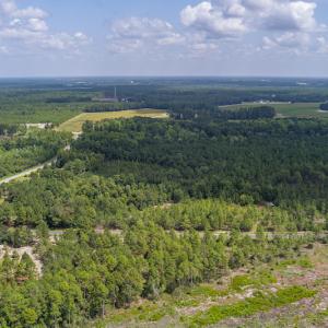 Photo #9 of SOLD property in Off Scronce Road  , Harrells, NC 10.5 acres