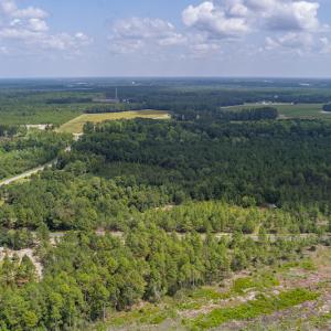 Photo #9 of SOLD property in Off Scronce Road  , Harrells, NC 10.5 acres