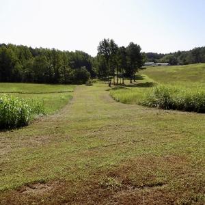 Photo #19 of 750 Bright Road, White Plains, VA 60.5 acres